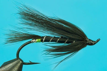 Black Bear - Hazy Fly Fishing