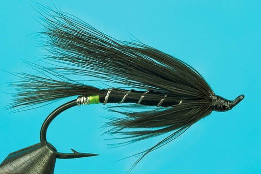 Black Bear - Hazy Fly Fishing