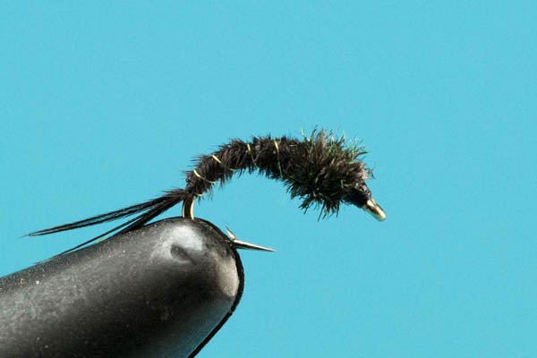 Black Caddis Pupa - Hazy Fly Fishing
