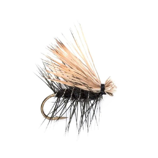 Black Elk Hair Caddis Classic Trout Dry Fly - Set of 6 Flies Size 16 - Hazy Fly Fishing