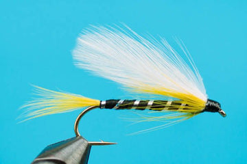 Black Ghost - Hazy Fly Fishing