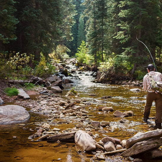 Black Ghost Classic Trout and Bass Streamer Fly - Set of 6 Hook Size 4 - Hazy Fly Fishing