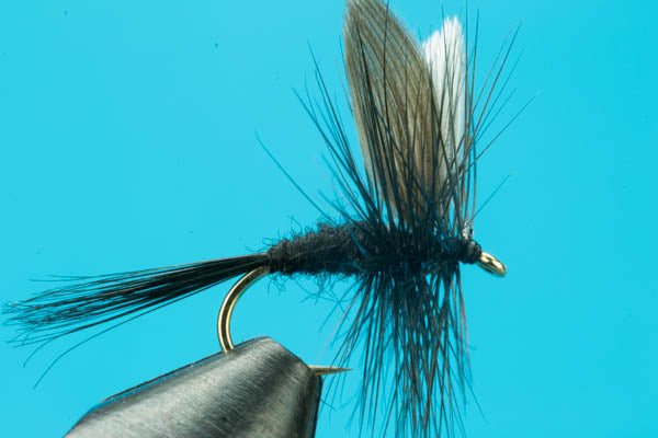 Black Gnat - Hazy Fly Fishing
