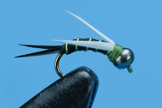 Black Jack - Beadhead - Hazy Fly Fishing