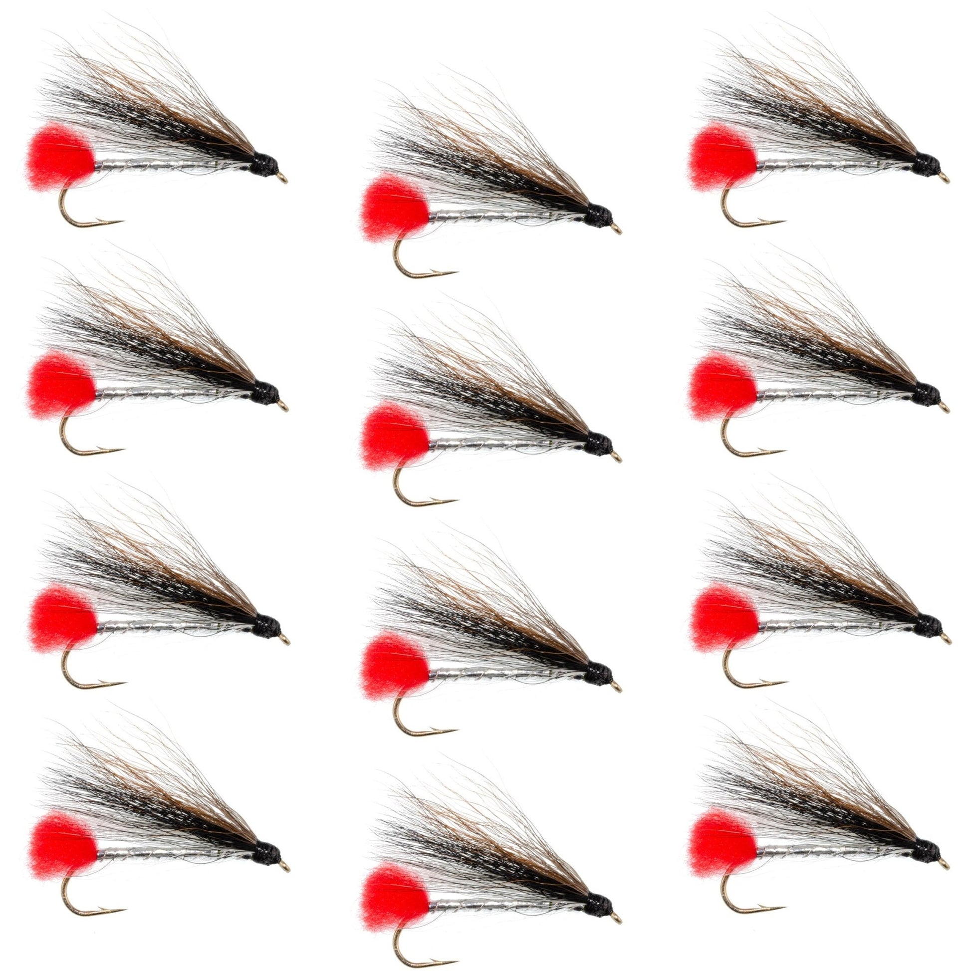 Black Nose Dace Classic Streamer Flies - Set of 12 - Hook Size 4 - Hazy Fly Fishing