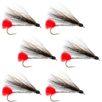 Black Nose Dace Classic Streamer Flies - Set of 6 - Hook Size 4 - Hazy Fly Fishing