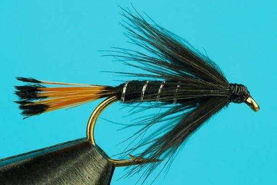 Black Pennell Wet Fly - Hazy Fly Fishing