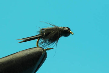 Black Prince - Tungsten - Hazy Fly Fishing