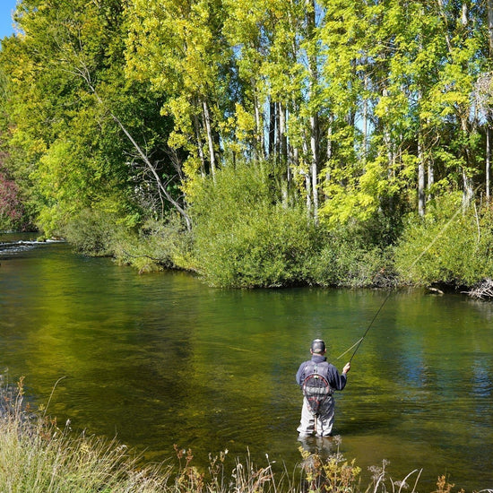 Black Zebra Midge - Black Bead Head - 1 Dozen - Size 16 - Tailwater and Lake Fly Fishing Flies - Hazy Fly Fishing
