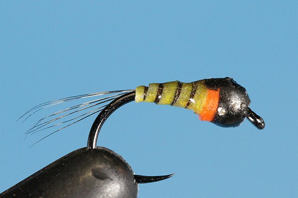 Blackhead - Tungsten (Barbless) - Hazy Fly Fishing