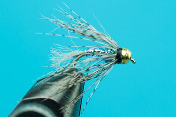 Blue Assassin - Beadhead - Hazy Fly Fishing