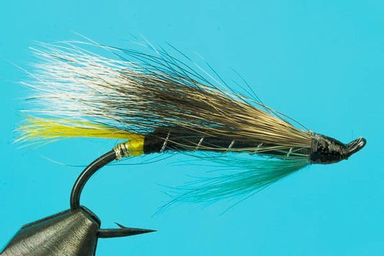 Blue Charm - Hazy Fly Fishing