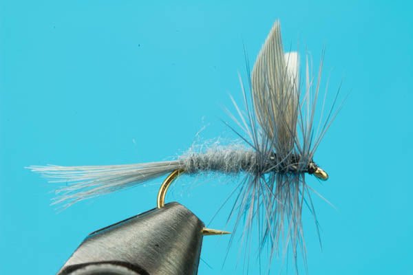 Blue Dun - Hazy Fly Fishing