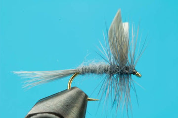 Blue Dun - Hazy Fly Fishing