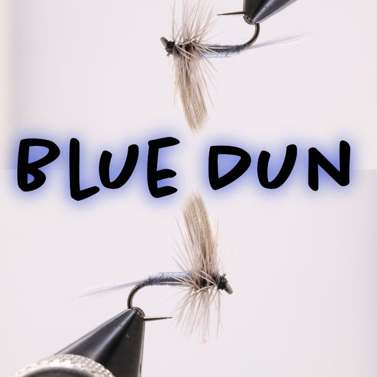 Blue Dun - Hazy Fly Fishing