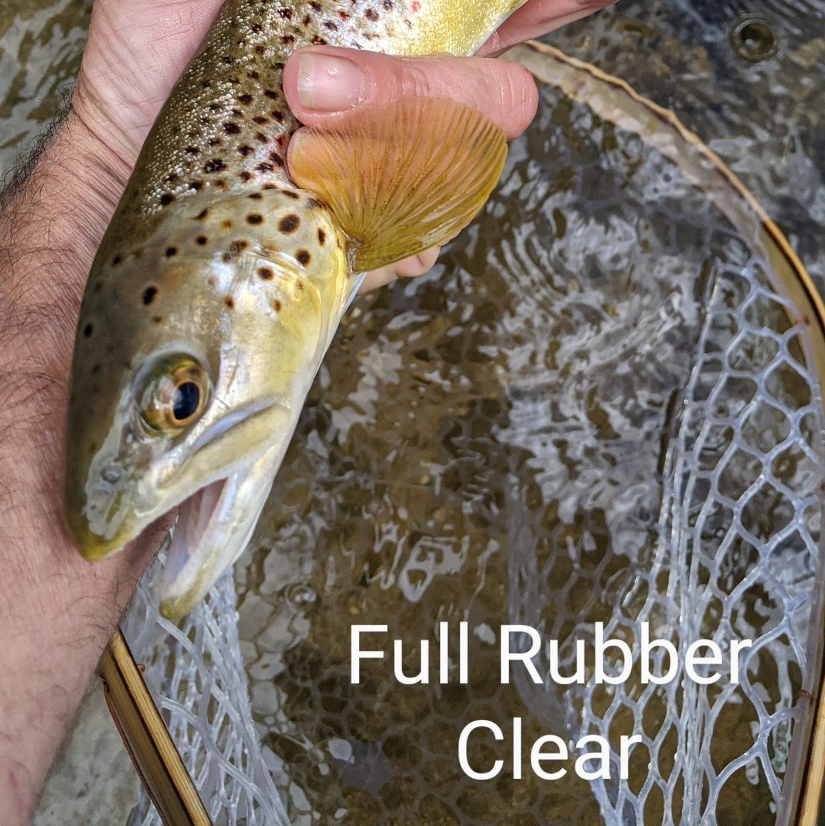 Blue Line Wide - Hazy Fly Fishing