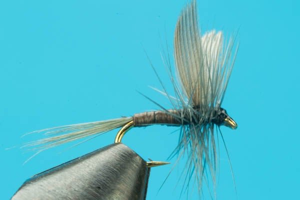 Blue Quill - Hazy Fly Fishing