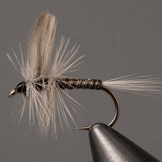 Blue Quill - Hazy Fly Fishing