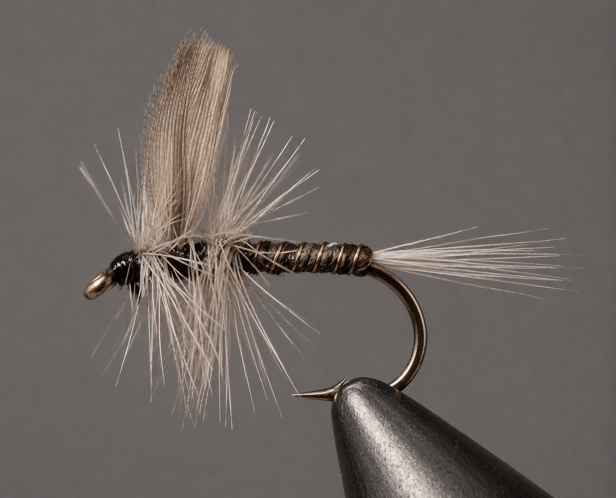 Blue Quill - Hazy Fly Fishing