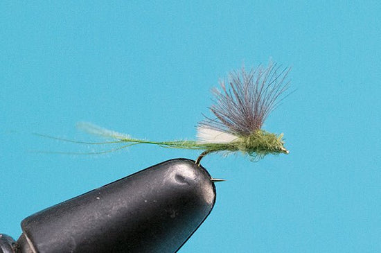 Blue Wing Olive Extended Body - Hazy Fly Fishing