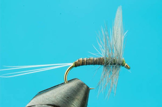 Blue Wing Olive Quill Body - Hazy Fly Fishing