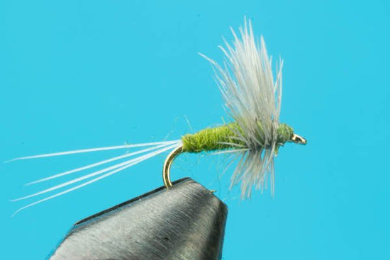 Blue Wing Olive Thorax - Hazy Fly Fishing