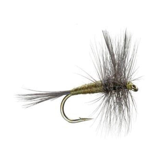 Blue Winged Olive BWO Classic Trout Dry Fly Fishing Flies - Set of 6 Flies Size 18 - Hazy Fly Fishing
