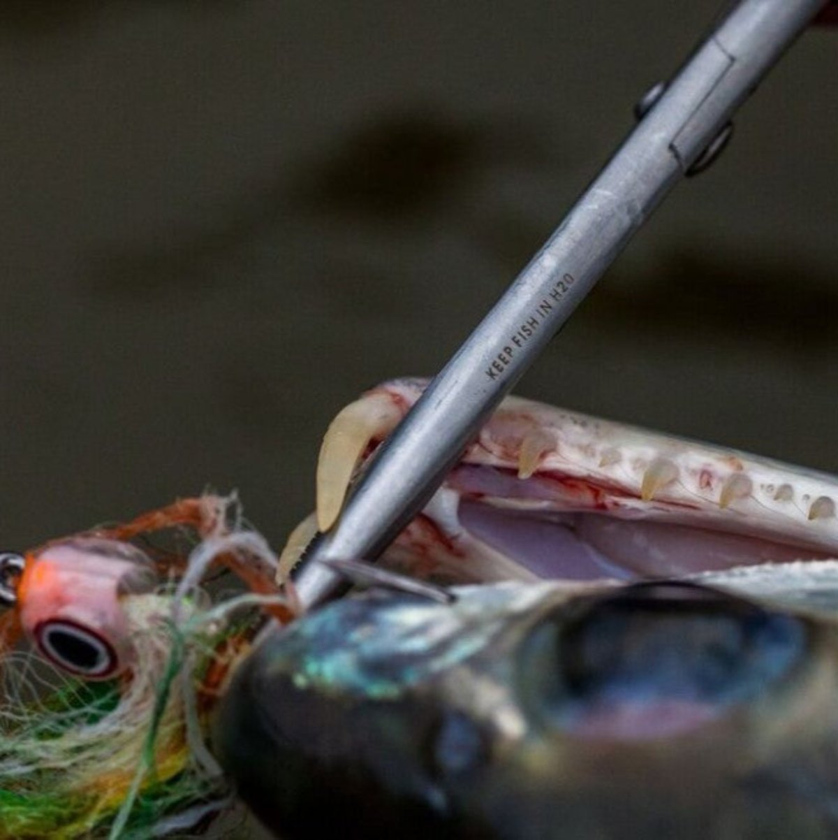Bobs Tactical Scissors - BTS - Hazy Fly Fishing