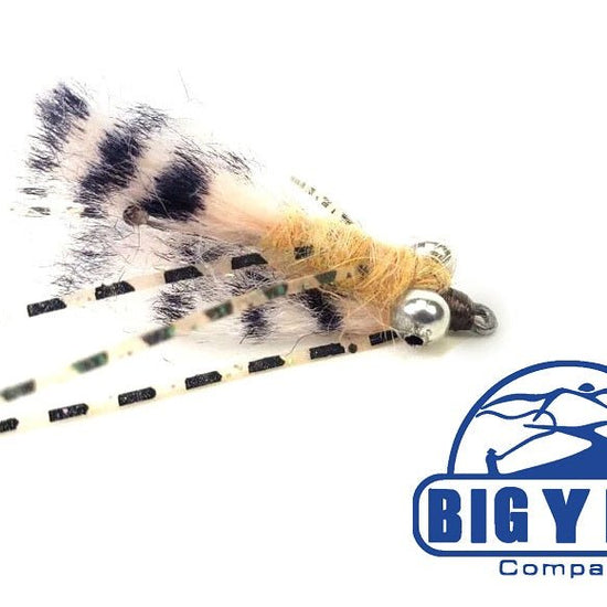 Bone Jovi - Hazy Fly Fishing