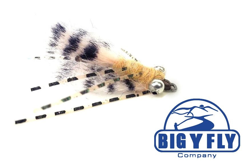 Bone Jovi - Hazy Fly Fishing