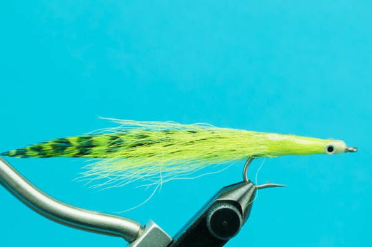 Bonita Candy - Hazy Fly Fishing