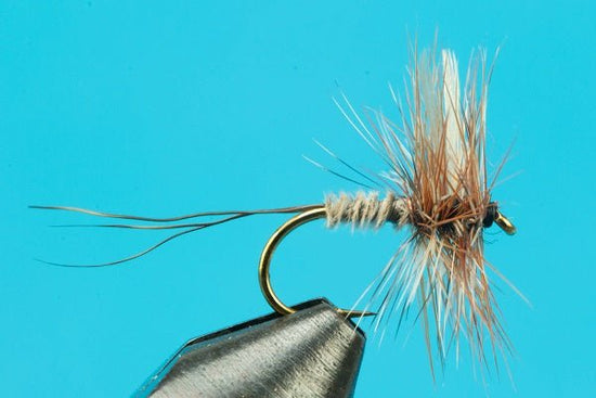 Borcher's Drake - Hazy Fly Fishing