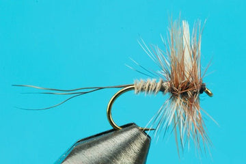 Borcher's Drake - Hazy Fly Fishing
