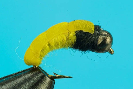 Bottom Bouncing Caddis - Beadhead - Hazy Fly Fishing