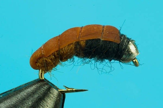 Bottom Bouncing Caddis - Beadhead - Hazy Fly Fishing
