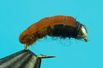 Bottom Bouncing Caddis - Beadhead - Hazy Fly Fishing