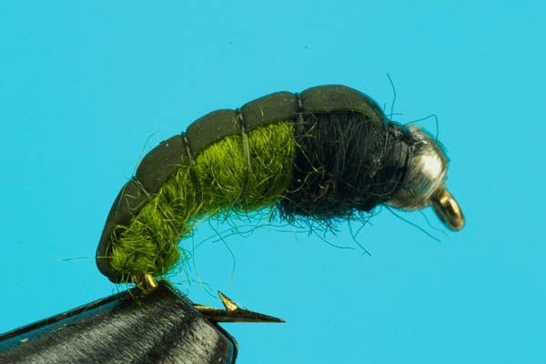 Bottom Bouncing Caddis - Beadhead - Hazy Fly Fishing
