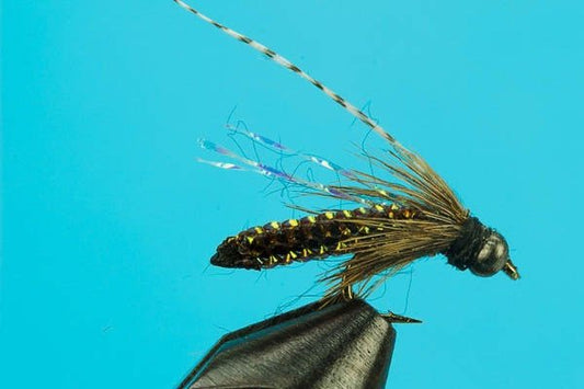 Braided Caddis Pupa - Beadhead - Hazy Fly Fishing