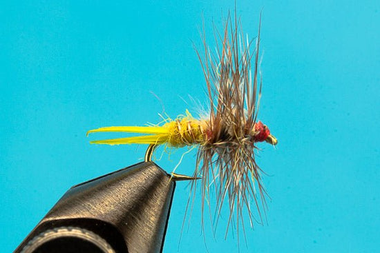 Brooks Yellow Stone - Hazy Fly Fishing