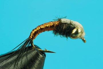 Bubble Back Emerger - Beadhead - Hazy Fly Fishing