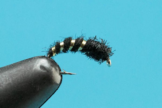 Caddis - Hazy Fly Fishing
