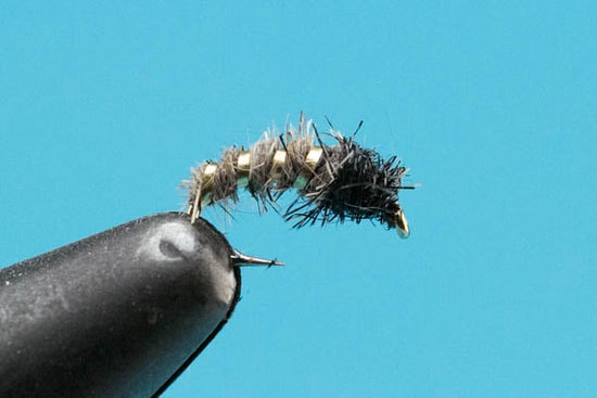 Caddis - Hazy Fly Fishing