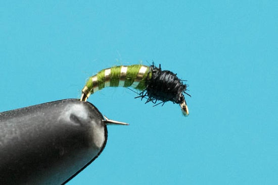 Caddis - Hazy Fly Fishing