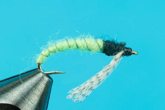 Caddis Larva - Hazy Fly Fishing