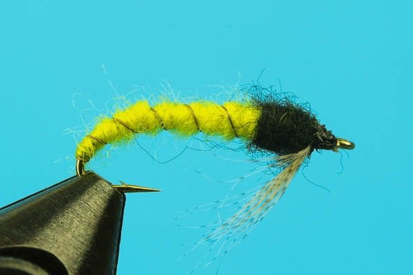 Caddis Larva - Hazy Fly Fishing
