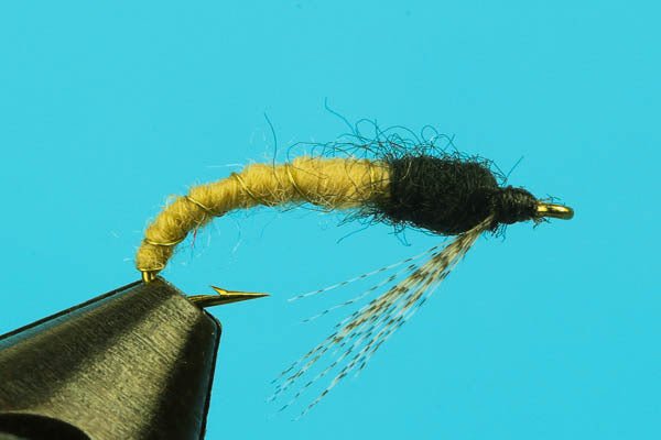Caddis Larva - Hazy Fly Fishing