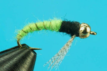 Caddis Larva - Beadhead - Hazy Fly Fishing