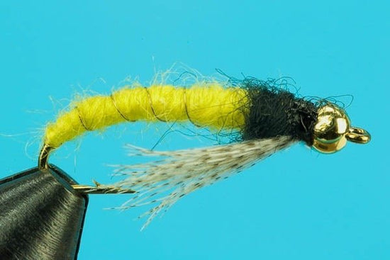 Caddis Larva - Beadhead - Hazy Fly Fishing