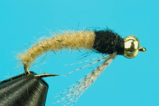 Caddis Larva - Beadhead - Hazy Fly Fishing
