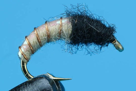 Caddis Larva Flash - Hazy Fly Fishing